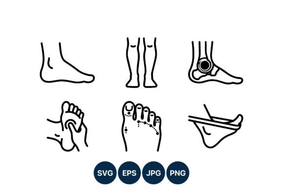 Foot Anatomy Medical Line Art Vector